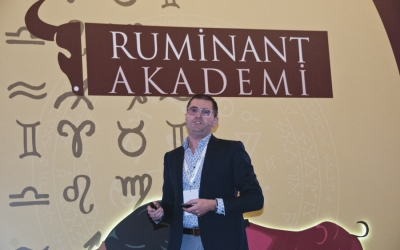 Ruminant Akademi (Antalya)