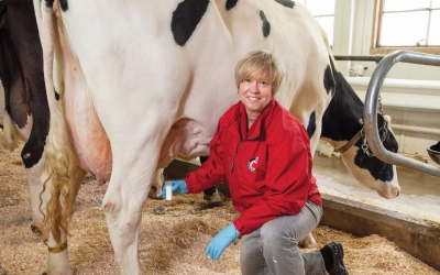 Pamela  Ruegg ile, ineklerde meme sağlığı ziyaretleri