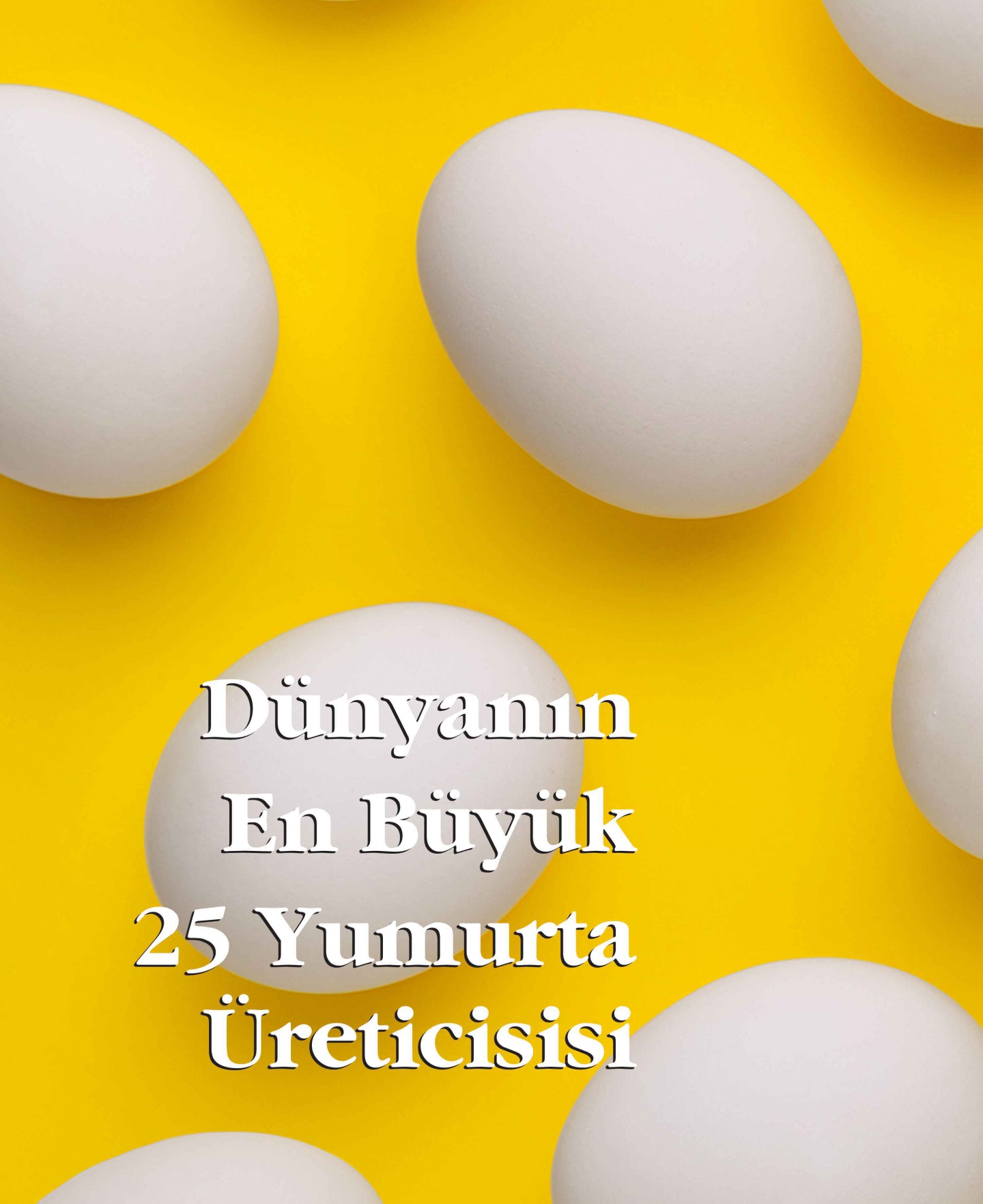 Dünyanın En Büyük 25 Yumurta Üreticisi