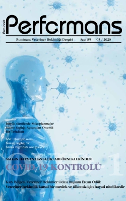 Ruminant Veteriner Hekimliği Dergisi Sayı 85