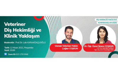 Veteriner Diş Hekimliği ve Klinik Yaklaşım