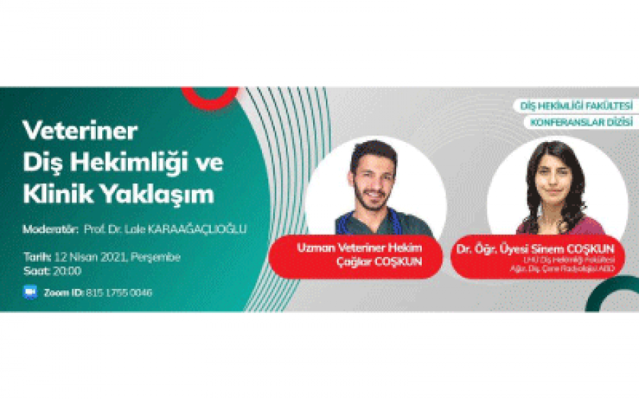 Veteriner Diş Hekimliği ve Klinik Yaklaşım