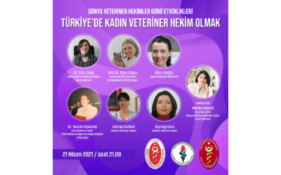 Türkiye’de kadın Veteriner Hekim olmak