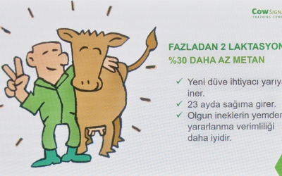 COWSİGNALS MASTER EĞİTMENİ JOEP DRİESSEN: “ÖNCELİKLE ÇİFTÇİLERİN  VE DANIŞMANLARIN GÖZLERİNİ  EĞİTMEMİZ GEREKİR”