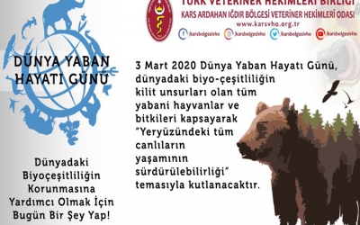 DÜNYADAKİ BİYOÇEŞİTLİLİĞİN KORUNMASINA YARDIMCI OLMAK İÇİN BUGÜN BİR ŞEY YAP