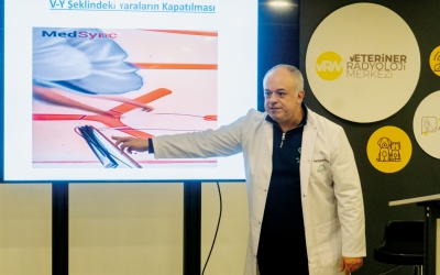 Kedi Veteriner Hekimleri Derneğinin KHEDİ ATÖLYELERİ